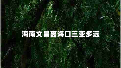 海南文昌離?？谌齺喍噙h