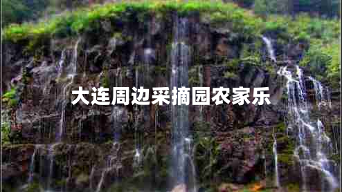 大連周邊采摘園農(nóng)家樂(lè)