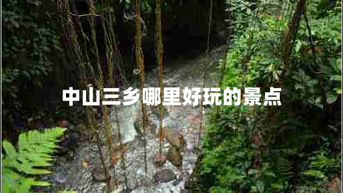 中山三鄉(xiāng)哪里好玩的景點(diǎn) 中山三鄉(xiāng)哪里好玩的景點(diǎn)