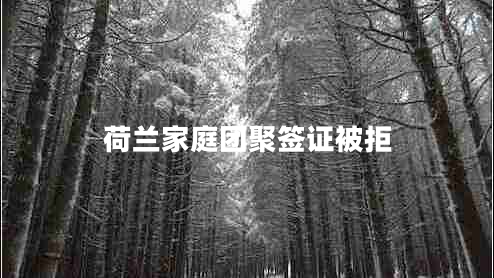 荷蘭家庭團(tuán)聚簽證被拒