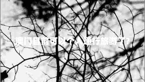 澳門(mén)目前可以個(gè)人通行旅游了?