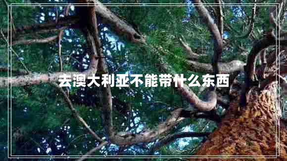 去澳大利亞不能帶什么東西