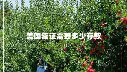 美國簽證需要多少存款