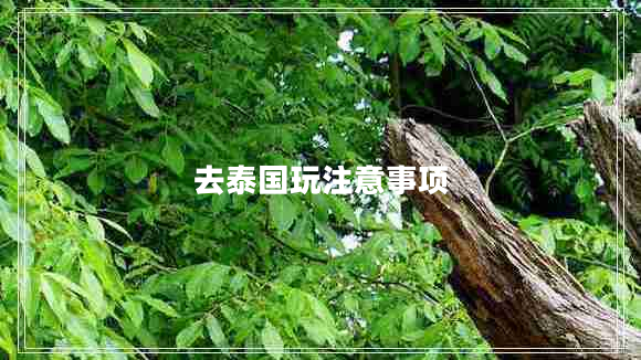 去泰國玩注意事項