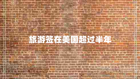 旅游簽在美國超過半年
