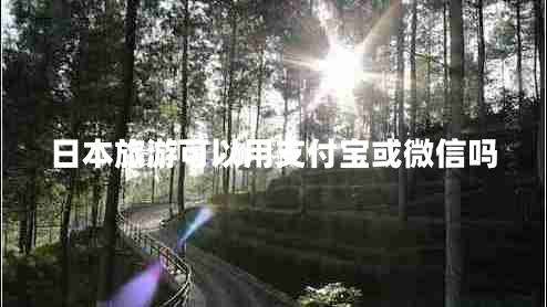 日本旅游可以用支付寶或微信嗎