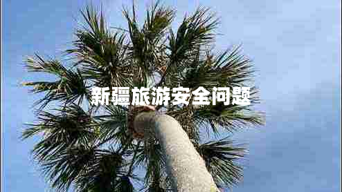 新疆旅游安全問題