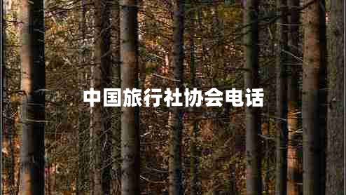 中國(guó)旅行社協(xié)會(huì)電話