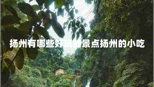 揚(yáng)州有哪些好玩的景點(diǎn)揚(yáng)州的小吃 揚(yáng)州有哪些好玩的景點(diǎn)揚(yáng)州的小吃