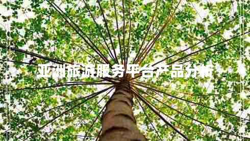 亞洲旅游服務(wù)平臺產(chǎn)品分析