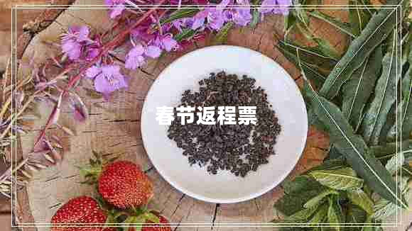 春節(jié)返程票