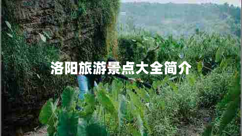 洛陽(yáng)旅游景點(diǎn)大全簡(jiǎn)介