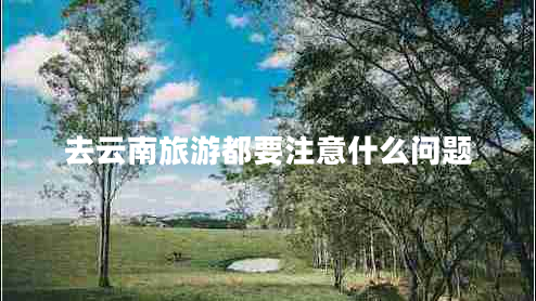 去云南旅游都要注意什么問題 去云南旅游都要注意什么問題