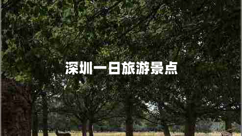 深圳一日旅游景點(diǎn)