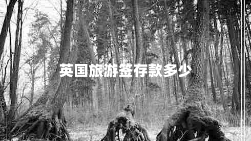 英國(guó)旅游簽存款多少 英國(guó)旅游簽存款多少