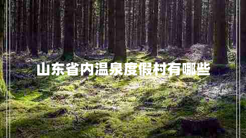 山東省內(nèi)溫泉度假村有哪些 山東省內(nèi)溫泉度假村有哪些