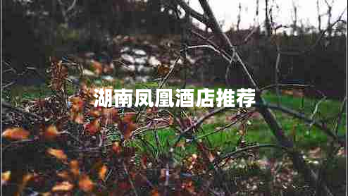 湖南鳳凰酒店推薦 湖南鳳凰酒店推薦