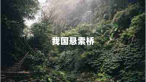 我國(guó)懸索橋