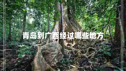 青島到廣西經(jīng)過(guò)哪些地方