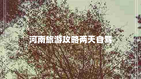 河南旅游攻略?xún)商熳择{ 河南旅游攻略?xún)商熳择{