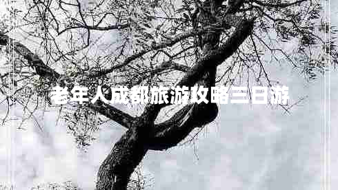 老年人成都旅游攻略三日游