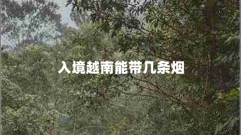 入境越南能帶幾條煙