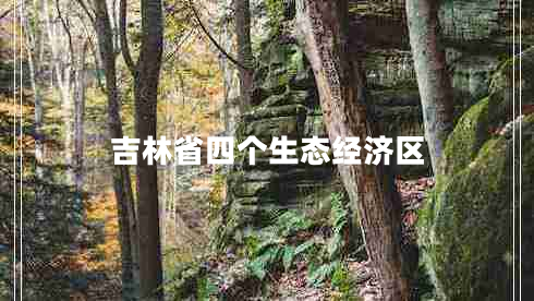 吉林省四個生態(tài)經(jīng)濟區(qū) 吉林省四個生態(tài)經(jīng)濟區(qū)