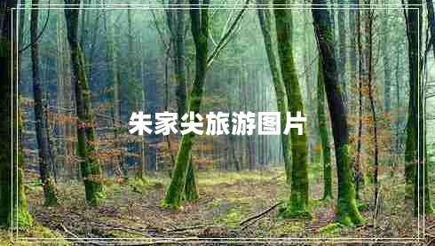 朱家尖旅游圖片