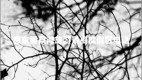 惠東巽寮灣旅游景點度假區(qū)電話