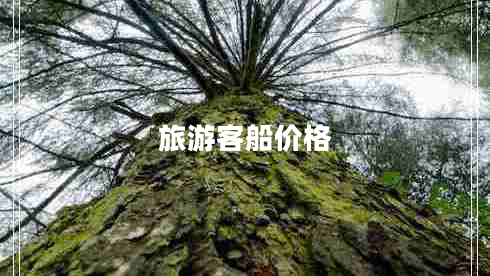 旅游客船價格 旅游客船價格