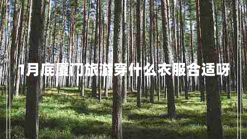 1月底廈門旅游穿什么衣服合適呀