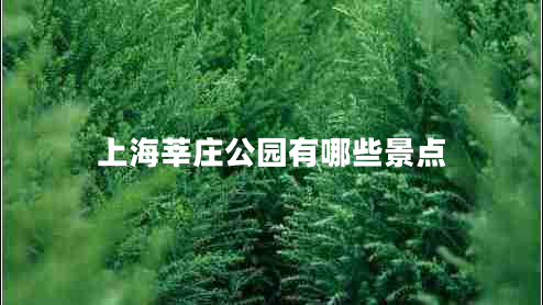 上海莘莊公園有哪些景點