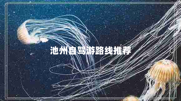 池州自駕游路線推薦