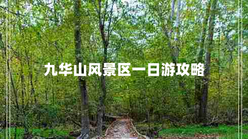 九華山風(fēng)景區(qū)一日游攻略
