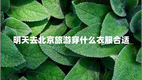 明天去北京旅游穿什么衣服合適