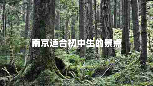 南京適合初中生的景點(diǎn) 南京適合初中生的景點(diǎn)