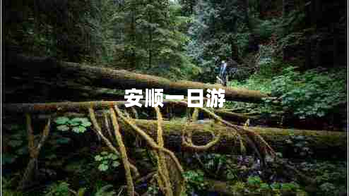 安順一日游