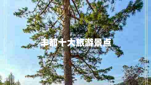 豐都十大旅游景點