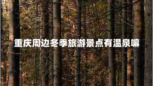 重慶周邊冬季旅游景點(diǎn)有溫泉嘛 重慶周邊冬季旅游景點(diǎn)有溫泉嘛