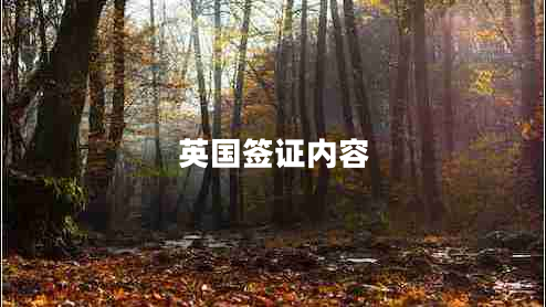 英國簽證內(nèi)容