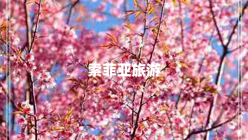 索菲亞旅游 索菲亞旅游