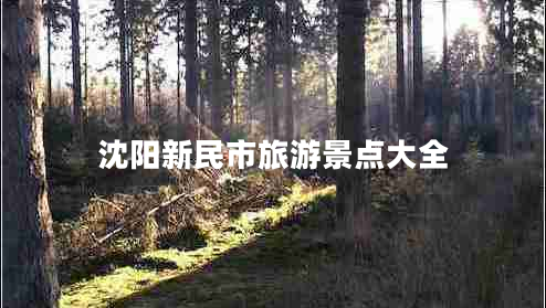 沈陽新民市旅游景點(diǎn)大全