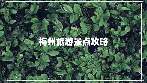 梅州旅游景點(diǎn)攻略