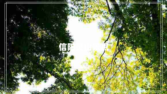 信陽靈山景點(diǎn) 信陽靈山景點(diǎn)