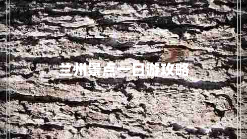 蘭州景點一日游攻略