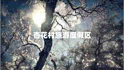 杏花村旅游度假區(qū)