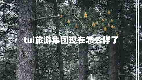tui旅游集團(tuán)現(xiàn)在怎么樣了