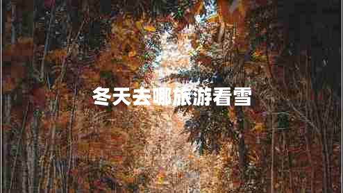 冬天去哪旅游看雪 冬天去哪旅游看雪