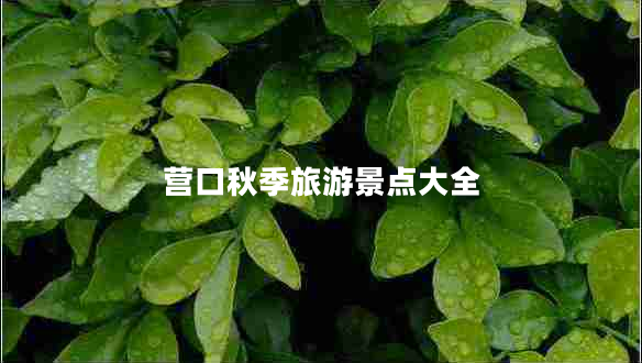 營口秋季旅游景點(diǎn)大全