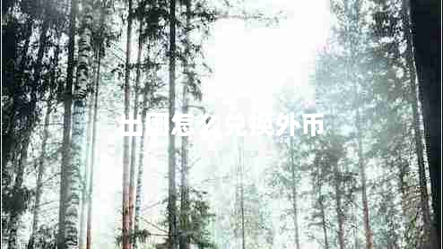 出國怎么兌換外幣